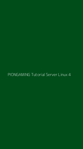 Tampilan Antarmuka Aplikasi Piongaming Tutorial Server Linux - 4