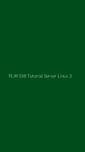 Tampilan Antarmuka Aplikasi Play338 Tutorial Server Linux - 3