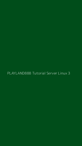 Tampilan Antarmuka Aplikasi Playland888 Tutorial Server Linux - 3