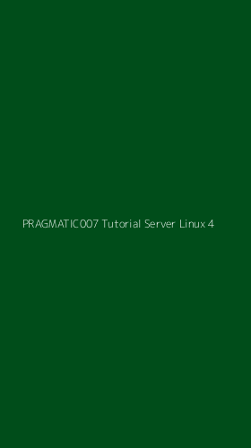 Tampilan Antarmuka Aplikasi Pragmatic007 Tutorial Server Linux - 4