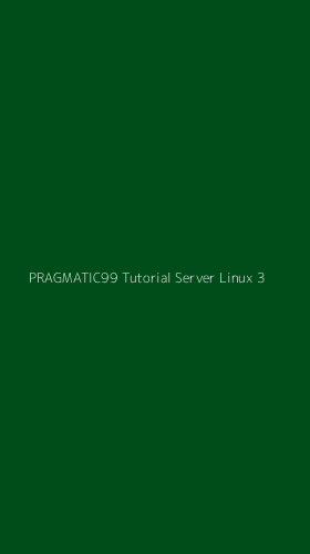 Tampilan Antarmuka Aplikasi Pragmatic99 Tutorial Server Linux - 3
