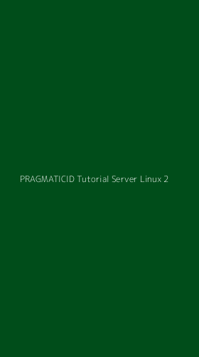 Tampilan Antarmuka Aplikasi Pragmaticid Tutorial Server Linux - 2