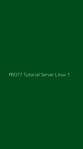 Tampilan Antarmuka Aplikasi Pro77 Tutorial Server Linux - 1