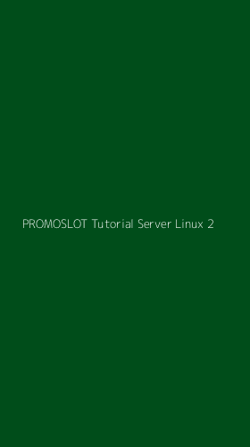Tampilan Antarmuka Aplikasi Promoslot Tutorial Server Linux - 2