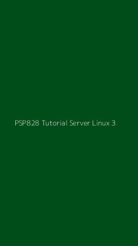 Tampilan Antarmuka Aplikasi Psp828 Tutorial Server Linux - 3