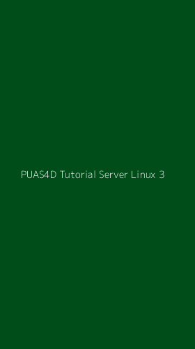 Tampilan Antarmuka Aplikasi Puas4d Tutorial Server Linux - 3