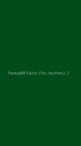 Tampilan Antarmuka Aplikasi Panda888 Editor Foto Aesthetic - 2