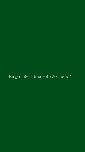 Tampilan Antarmuka Aplikasi Pangeran86 Editor Foto Aesthetic - 1
