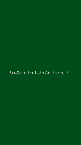 Tampilan Antarmuka Aplikasi Pau88 Editor Foto Aesthetic - 3