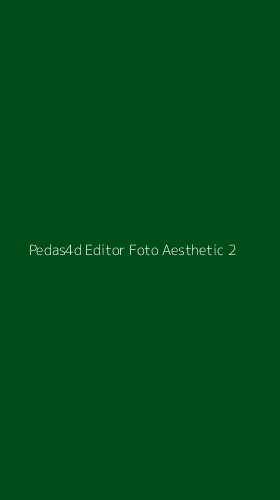 Tampilan Antarmuka Aplikasi Pedas4d Editor Foto Aesthetic - 2