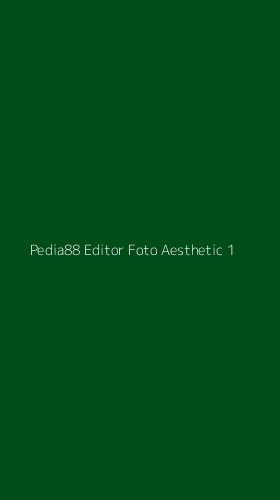 Tampilan Antarmuka Aplikasi Pedia88 Editor Foto Aesthetic - 1