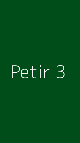 Tampilan Antarmuka Aplikasi Petir - 3