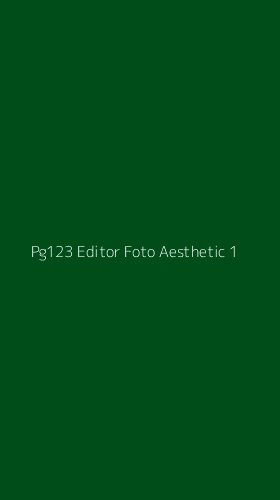 Tampilan Antarmuka Aplikasi Pg123 Editor Foto Aesthetic - 1