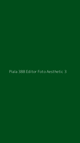 Tampilan Antarmuka Aplikasi Piala 388 Editor Foto Aesthetic - 3