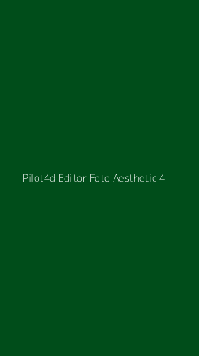 Tampilan Antarmuka Aplikasi Pilot4d Editor Foto Aesthetic - 4