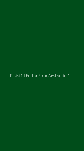 Tampilan Antarmuka Aplikasi Pinisi4d Editor Foto Aesthetic - 1