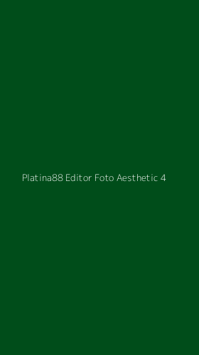 Tampilan Antarmuka Aplikasi Platina88 Editor Foto Aesthetic - 4