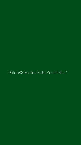 Tampilan Antarmuka Aplikasi Pulou88 Editor Foto Aesthetic - 1