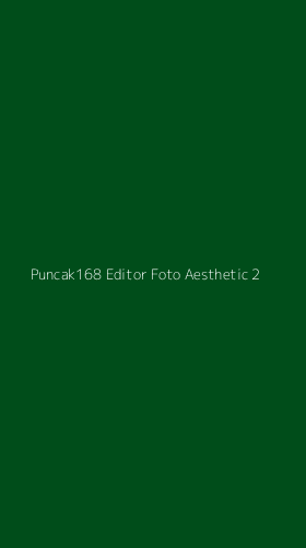 Tampilan Antarmuka Aplikasi Puncak168 Editor Foto Aesthetic - 2