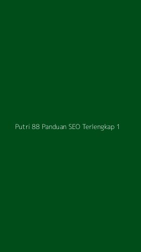 Tampilan Antarmuka Aplikasi Putri 88 Panduan Seo Terlengkap - 1