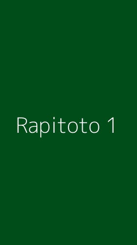 Tampilan Antarmuka Aplikasi Rapitoto - 1
