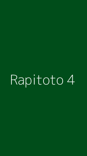 Tampilan Antarmuka Aplikasi Rapitoto - 4