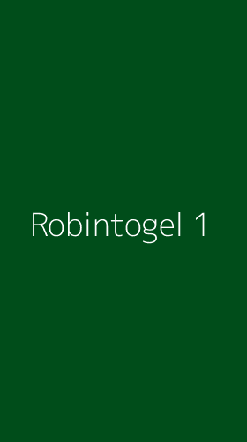 Tampilan Antarmuka Aplikasi Robintogel - 1