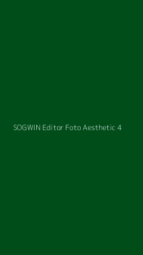 Tampilan Antarmuka Aplikasi Sogwin Editor Foto Aesthetic - 4