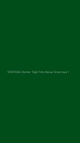 Tampilan Antarmuka Aplikasi Startogel Bandar Togel Toto Macau Terpercaya - 1