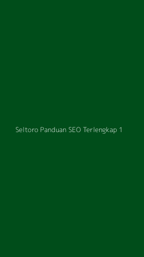 Tampilan Antarmuka Aplikasi Seltoro Panduan Seo Terlengkap - 1