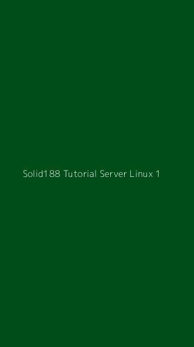 Tampilan Antarmuka Aplikasi Solid188 Tutorial Server Linux - 1