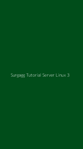 Tampilan Antarmuka Aplikasi Surgagg Tutorial Server Linux - 3