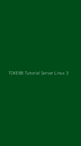 Tampilan Antarmuka Aplikasi Toke88 Tutorial Server Linux - 3