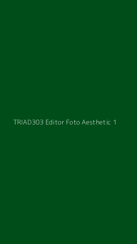Tampilan Antarmuka Aplikasi Triad303 Editor Foto Aesthetic - 1