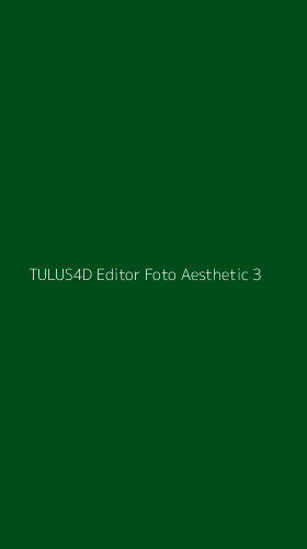 Tampilan Antarmuka Aplikasi Tulus4d Editor Foto Aesthetic - 3