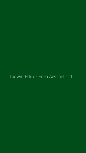 Tampilan Antarmuka Aplikasi Tbowin Editor Foto Aesthetic - 1