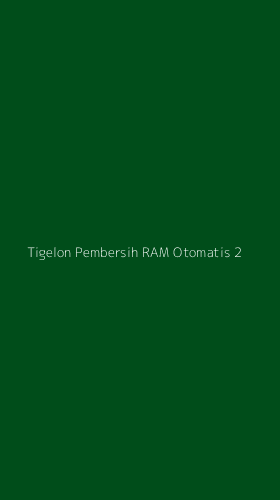 Tampilan Antarmuka Aplikasi Tigelon Pembersih Ram Otomatis - 2