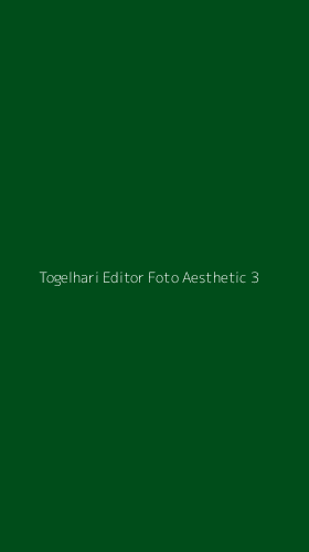 Tampilan Antarmuka Aplikasi Togelhari Editor Foto Aesthetic - 3