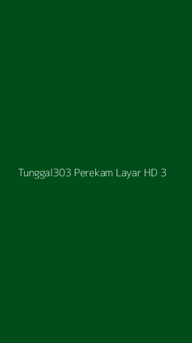 Tampilan Antarmuka Aplikasi Tunggal303 Perekam Layar Hd - 3