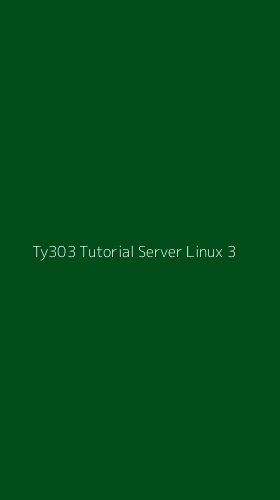 Tampilan Antarmuka Aplikasi Ty303 Tutorial Server Linux - 3