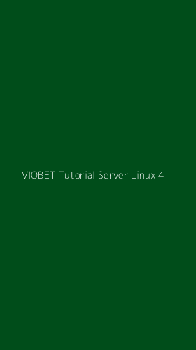 Tampilan Antarmuka Aplikasi Viobet Tutorial Server Linux - 4