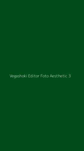 Tampilan Antarmuka Aplikasi Vegashoki Editor Foto Aesthetic - 3