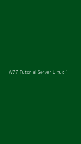 Tampilan Antarmuka Aplikasi W77 Tutorial Server Linux - 1