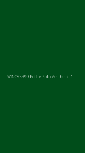 Tampilan Antarmuka Aplikasi Wincash99 Editor Foto Aesthetic - 1