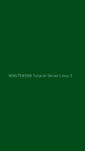 Tampilan Antarmuka Aplikasi Winstrike69 Tutorial Server Linux - 3