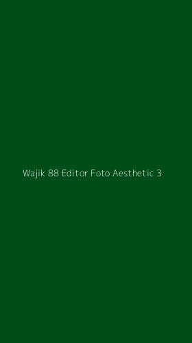 Tampilan Antarmuka Aplikasi Wajik 88 Editor Foto Aesthetic - 3