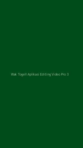 Tampilan Antarmuka Aplikasi Wak Togell Aplikasi Editing Video Pro - 3