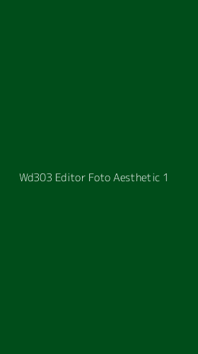 Tampilan Antarmuka Aplikasi Wd303 Editor Foto Aesthetic - 1