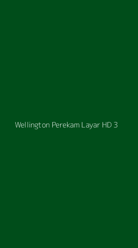 Tampilan Antarmuka Aplikasi Wellington Perekam Layar Hd - 3