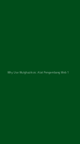 Tampilan Antarmuka Aplikasi Why Use Wulghazikoic Alat Pengembang Web - 1